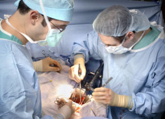 Ученые делают органы более устойчивыми к трансплантации