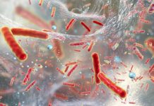 Представлен новый метод остановки бактерий