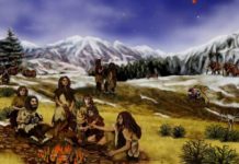 История неандертальцев и Homo Sapiens оказалась интереснее, чем предполагалось