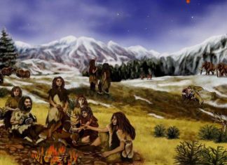 История неандертальцев и Homo Sapiens оказалась интереснее, чем предполагалось