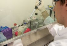 Ученые пытаются избавиться от деменции в лабораторных условиях