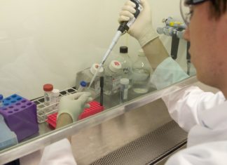 Ученые пытаются избавиться от деменции в лабораторных условиях