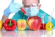 Ученые составили новый опрос общественности относительно ГМО-продуктов