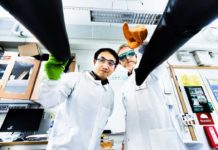 Ученые представили новый тип солнечных клеток