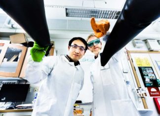 Ученые представили новый тип солнечных клеток