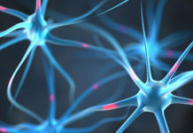 Репрограммирование нейронов позволяет изменить травматичные воспоминания