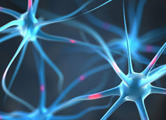 Репрограммирование нейронов позволяет изменить травматичные воспоминания