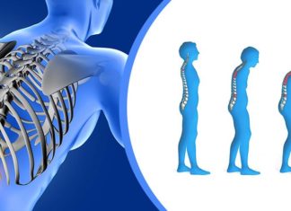 Найден новый подход к лечению остеопороза