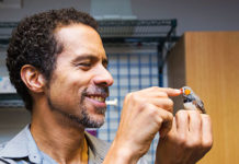 Обнаружены “гены инноваций” у птиц