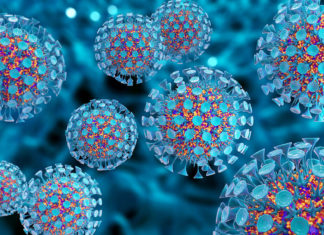 Тест новых ВИЧ-антител прошел успешно