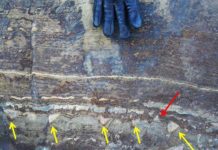 Обнаружен очень древний камень, подтверждающий теорию ранней эволюции