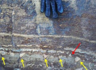 Обнаружен очень древний камень, подтверждающий теорию ранней эволюции