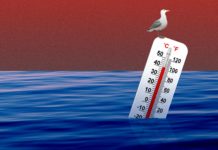 Океаны греются быстрее, чем предполагалось