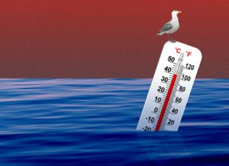 Океаны греются быстрее, чем предполагалось