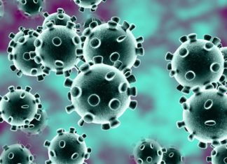 Коронавирус проник на территорию США: исследование