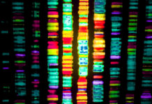 Представлены новые лекарства с искусственной ДНК