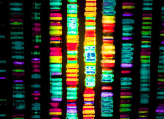 Представлены новые лекарства с искусственной ДНК