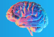 Обнаружен механизм смерти нейронов при деменции