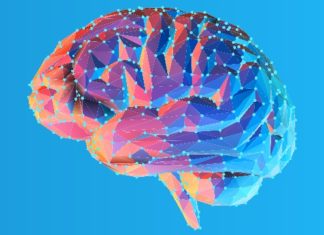 Обнаружен механизм смерти нейронов при деменции