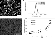 Созданы трансформируемые кремниевые наночастицы