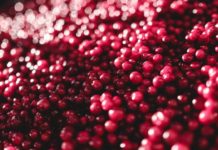 Брусничный сок понижает высокое кровяное давление