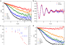 Произведены новые испытания во вращении мюонов