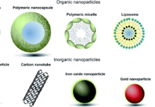Протестированы наночастицы, переносящие лекарства к мозгу