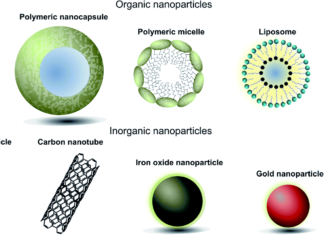Протестированы наночастицы, переносящие лекарства к мозгу