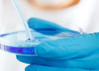 FDA подтверждает и одобряет новую генную терапию