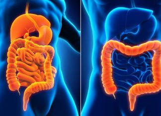 Болезнь Крона может быть купирована овощной диетой