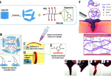 Представлен высокоабсорбирующий гидрогель улучшенного действия