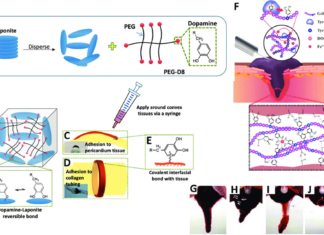 Представлен высокоабсорбирующий гидрогель улучшенного действия