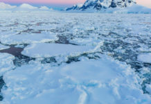 Экологи предсказывают очередное массовое таяние ледников в Антарктике