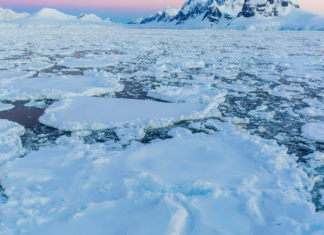 Экологи предсказывают очередное массовое таяние ледников в Антарктике