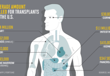 Новый процесс обещает сделать органы более безопасными для трансплантации
