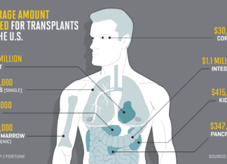 Новый процесс обещает сделать органы более безопасными для трансплантации