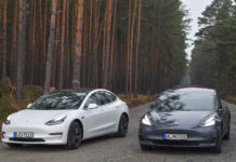 Берлинский суд призвал Tesla прекратить вырубку лесов