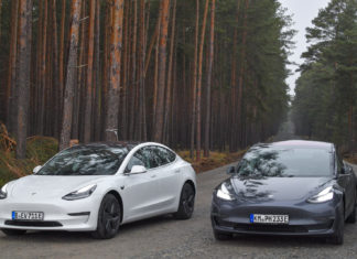 Берлинский суд призвал Tesla прекратить вырубку лесов