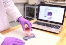 Ученые из МТИ создали новый тип гибридного робота