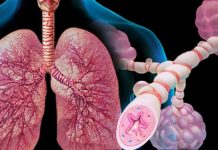 Выявлена диета, облегчающая симптомы астмы