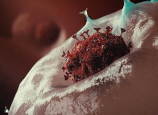 В США активно прорабатывается вакцина против коронавируса