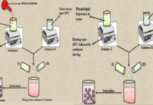 Нано-гель нового поколения улучшен для борьбы с раковыми клетками