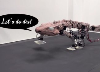 Создан уникальный робот-рептилия