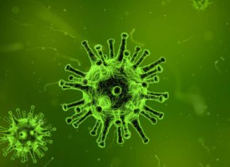 В США вирус гриппа вновь набирает обороты