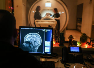 Некоторые отделы мозга активизируются после изучения физики