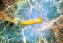 Ядерная паста названа самым прочным материалом во Вселенной