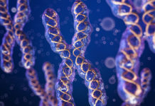 Биологический пол может быть сложнее, чем кажется