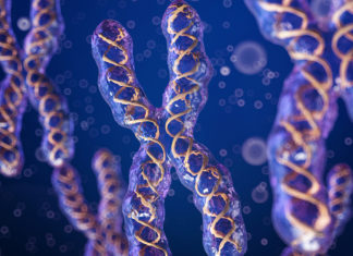 Биологический пол может быть сложнее, чем кажется