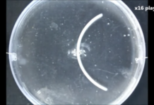 Представлен уникальный 3D-гель для применения под водой