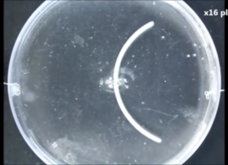 Представлен уникальный 3D-гель для применения под водой